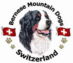Link to Bernese Mountain Dogs of Southern Africa